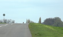 Весенняя прогулка по сальским степям