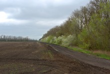 Весенняя прогулка по сальским степям