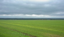 Весенняя прогулка по сальским степям