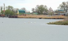 Весенняя прогулка по сальским степям