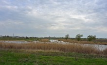 Стрелка Тузлова и Аксая