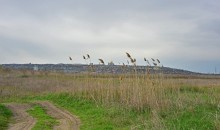 Стрелка Тузлова и Аксая