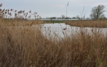 Стрелка Тузлова и Аксая