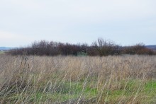 Старые дачи