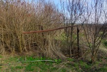 Старые дачи