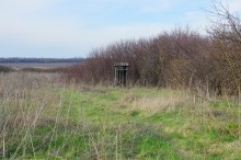 Старые дачи