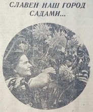 Старые дачи