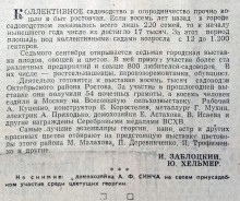 Старые дачи