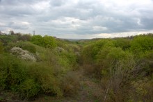 Балка Клиновая в Большом Логу