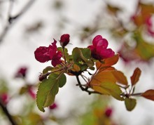 Балка Клиновая в Большом Логу