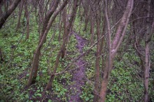 Балка Клиновая в Большом Логу