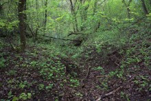 Балка Клиновая в Большом Логу