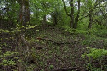 Балка Клиновая в Большом Логу