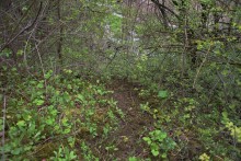 Балка Клиновая в Большом Логу