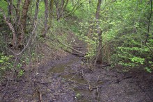 Балка Клиновая в Большом Логу