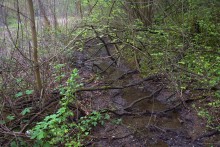 Балка Клиновая в Большом Логу