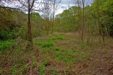 Балка Клиновая в Большом Логу