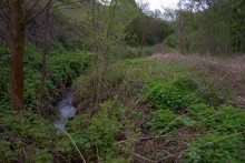 Балка Клиновая в Большом Логу