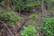 Балка Клиновая в Большом Логу