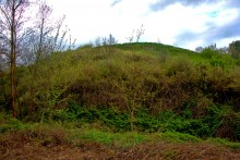 Балка Клиновая в Большом Логу