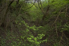 Балка Клиновая в Большом Логу