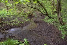 Балка Клиновая в Большом Логу