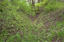 Балка Клиновая в Большом Логу