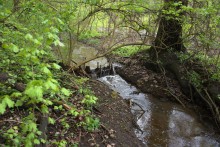 Балка Клиновая в Большом Логу