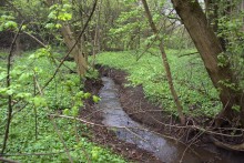 Балка Клиновая в Большом Логу