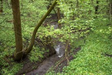 Балка Клиновая в Большом Логу