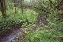 Балка Клиновая в Большом Логу