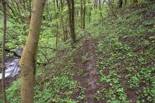 Балка Клиновая в Большом Логу