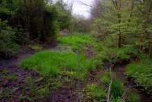 Балка Клиновая в Большом Логу