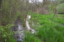 Балка Клиновая в Большом Логу