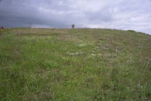 Балка Клиновая в Большом Логу