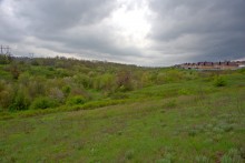 Балка Клиновая в Большом Логу