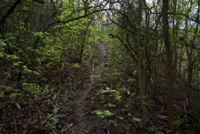 Балка Клиновая в Большом Логу