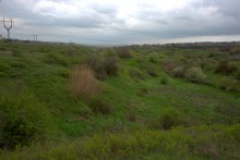 Балка Клиновая в Большом Логу