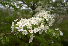 Балка Клиновая в Большом Логу