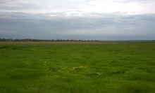 Земля моих предков