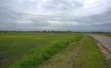 Земля моих предков