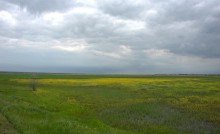 Земля моих предков