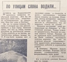 Слониха Меланья в ростовском зоопарке