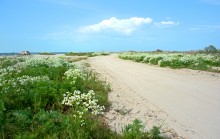 Путешествие по весенней Ясенской косе