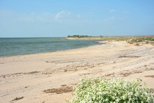 Путешествие по весенней Ясенской косе