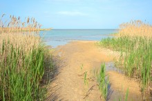 Путешествие по весенней Ясенской косе