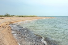 Путешествие по весенней Ясенской косе