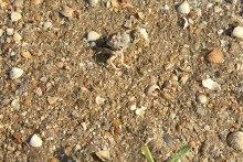 Путешествие по весенней Ясенской косе