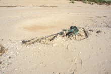 Путешествие по весенней Ясенской косе