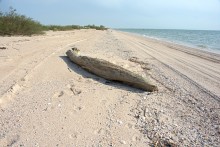 Путешествие по весенней Ясенской косе